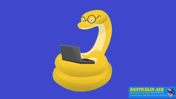 [Udemy] Timur Mashnin - Python 3_ От новичка до пр_0.jpg